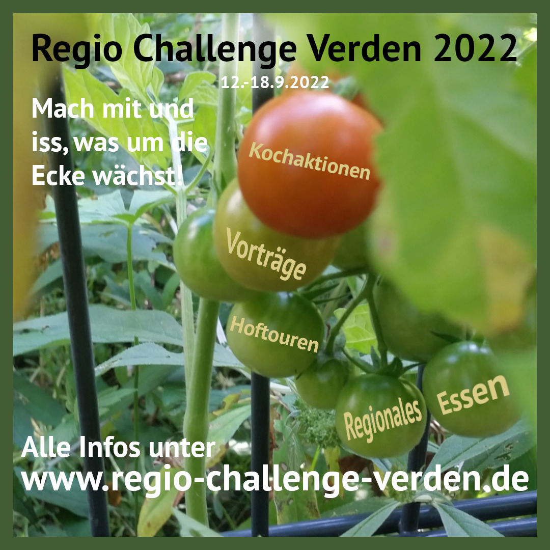 regio challenge verden sm 3