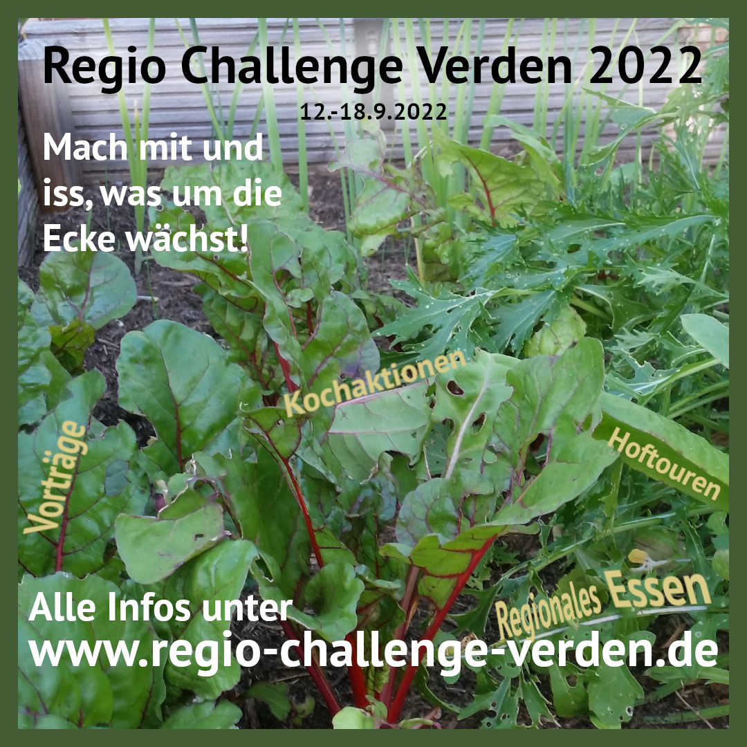 regio challenge verden sm 4