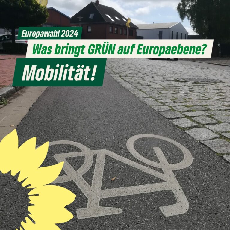 Europawahl 2024 – Mobilität