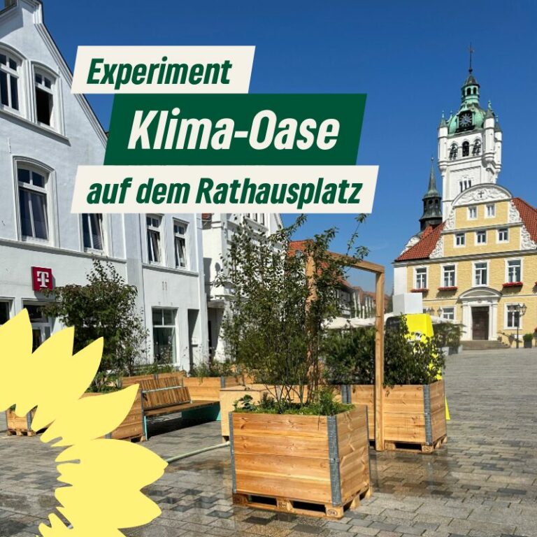 Klima-Oase Rathausplatz