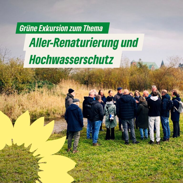 Grüne Exkursion zur Aller Renaturierung