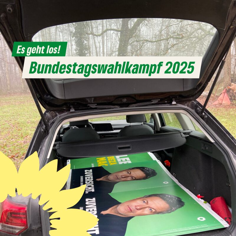 Plakate Bundestagswahl 2025
