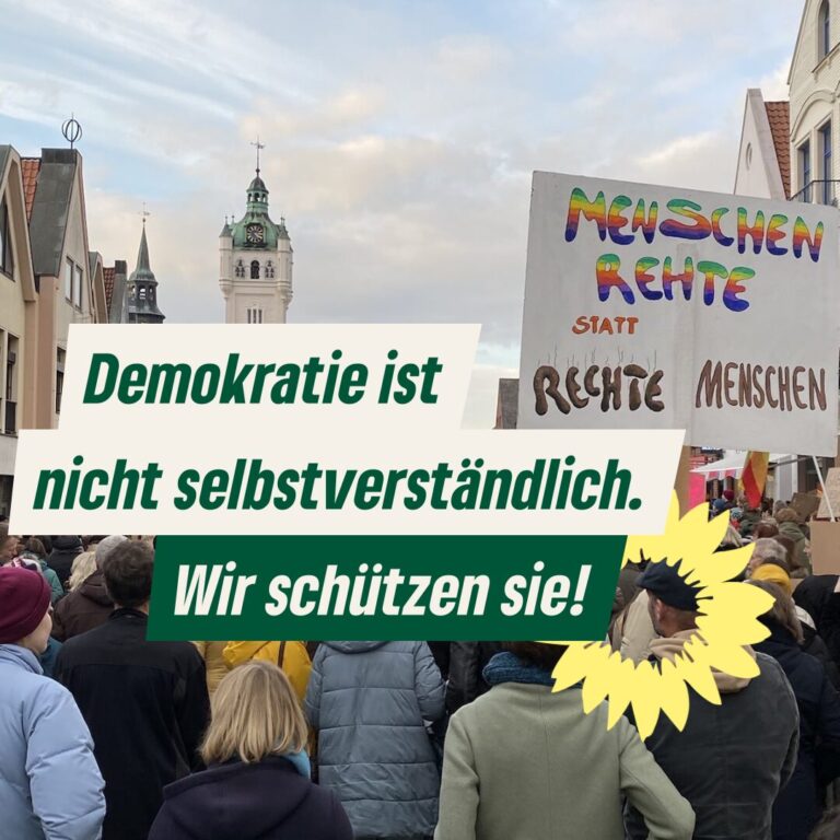 Demokratie: Wahlkampfprogramm Entwurf