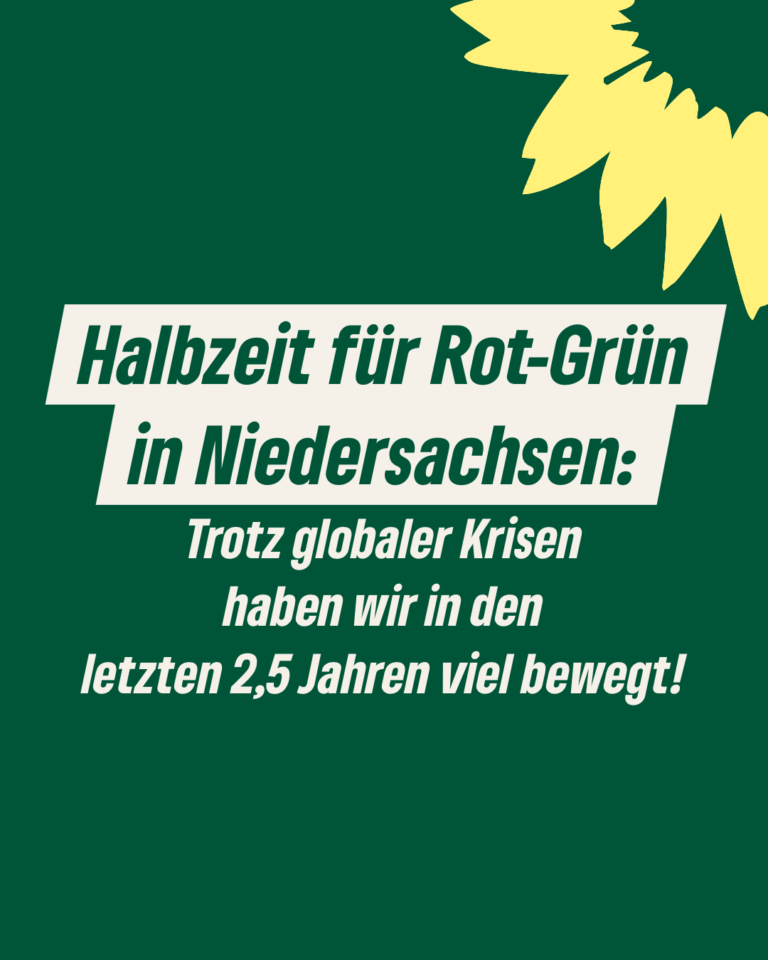 Rot-grüne Halbzeitbilanz: Der Weg nach vorn