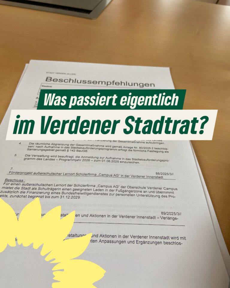 Was passiert im Stadtrat?