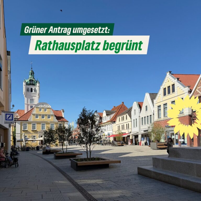 Antrag umgesetzt: Grün auf dem Rathausplatz