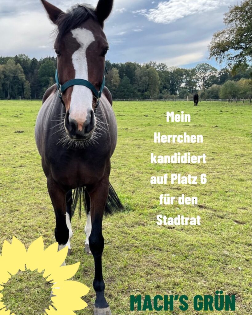 Haustiere 4 Haustiere3
