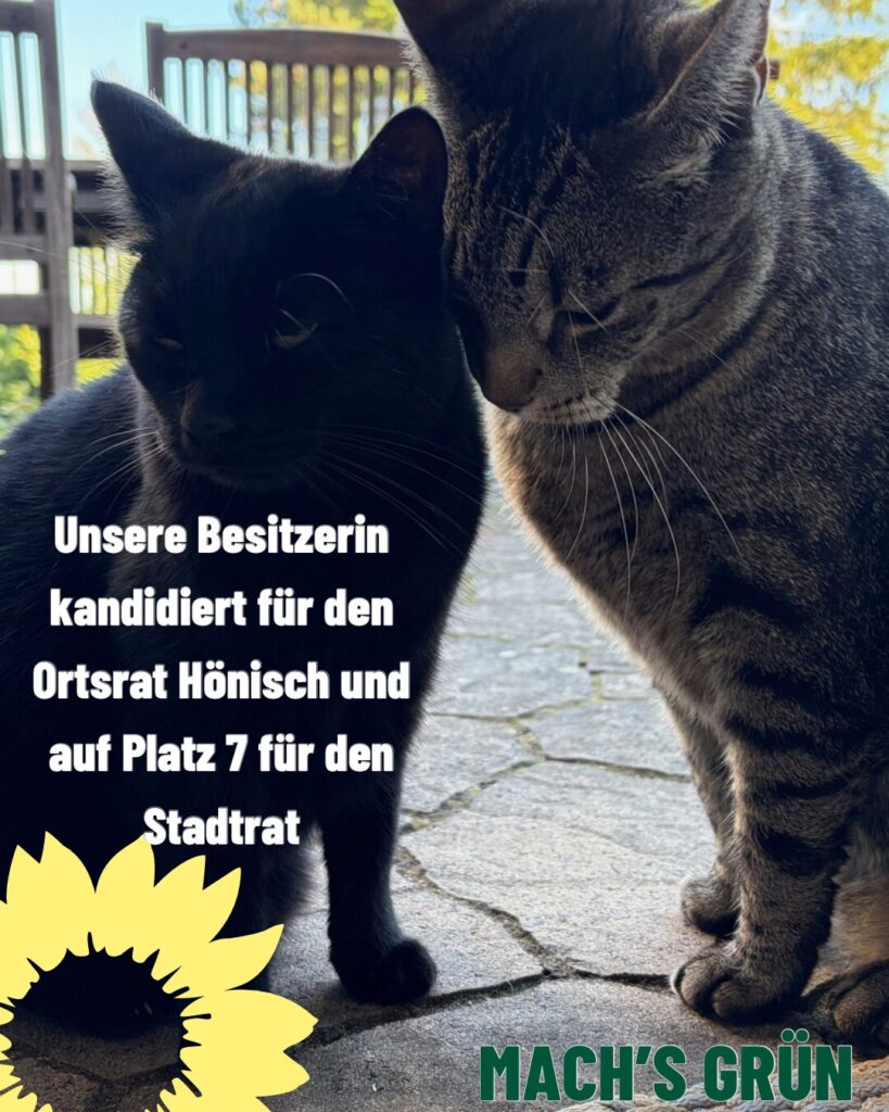Haustiere 1 Haustiere6